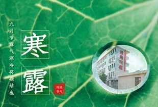 今日寒露|長假將盡，記得添衣保暖哦！